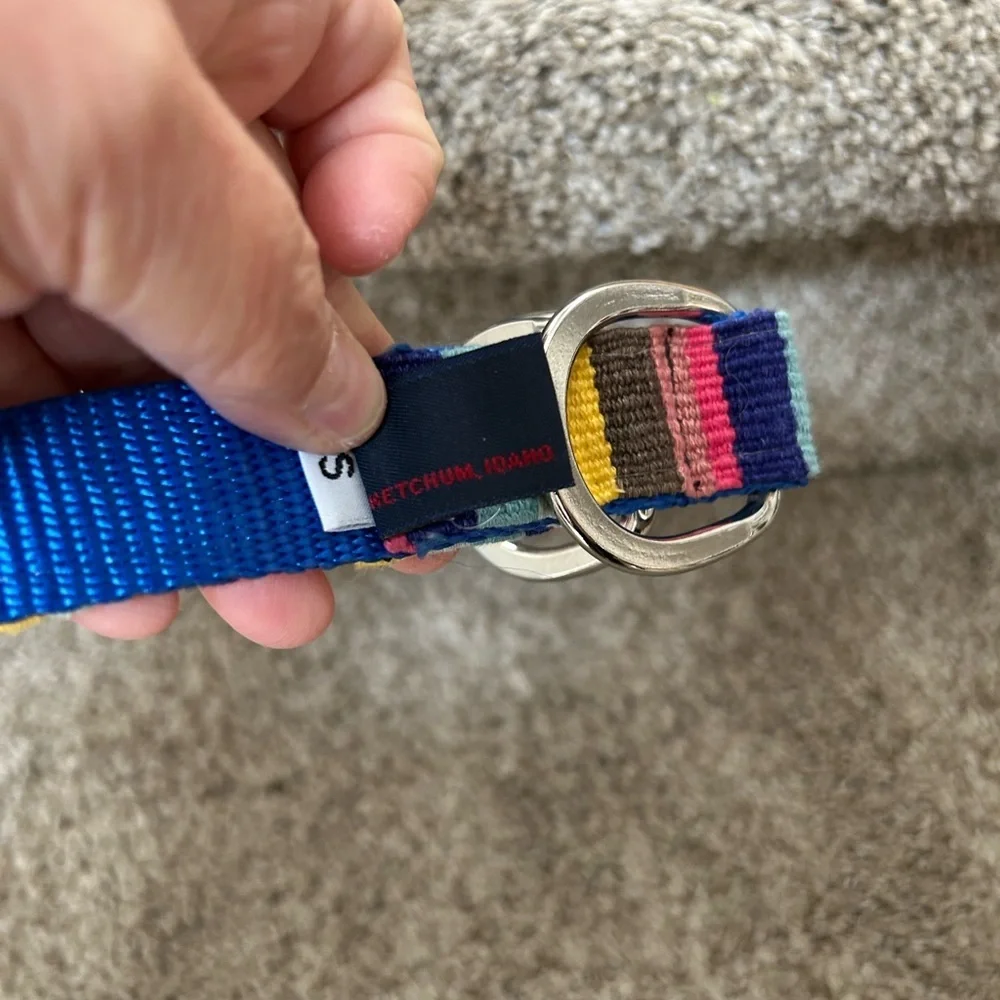 A Tail We Could Wag women’s striped belt with silver buckle. Colorful. Dog lover - Picture 4 of 10